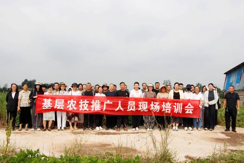 阳泉农业科技——现代农业的创新实践
